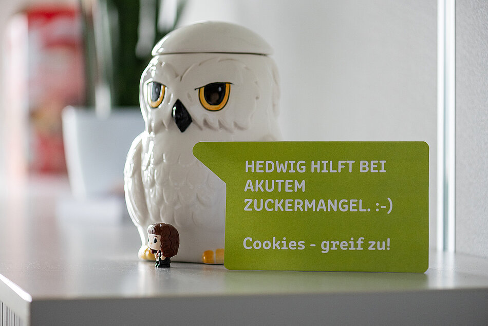 Keksdose in Eulenform steht auf Regal mit einem Schild davor