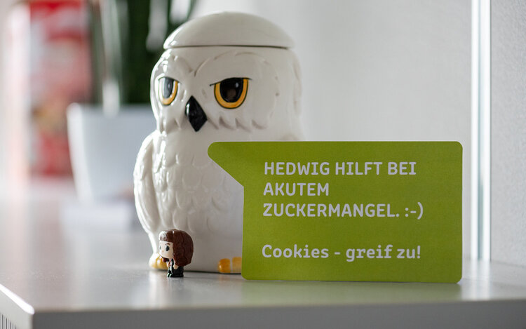 Platzhalter Keksdose in Eulenform steht auf Regal mit einem Schild davor