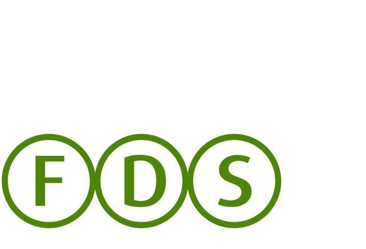 Logo Fronz Daten Service groß