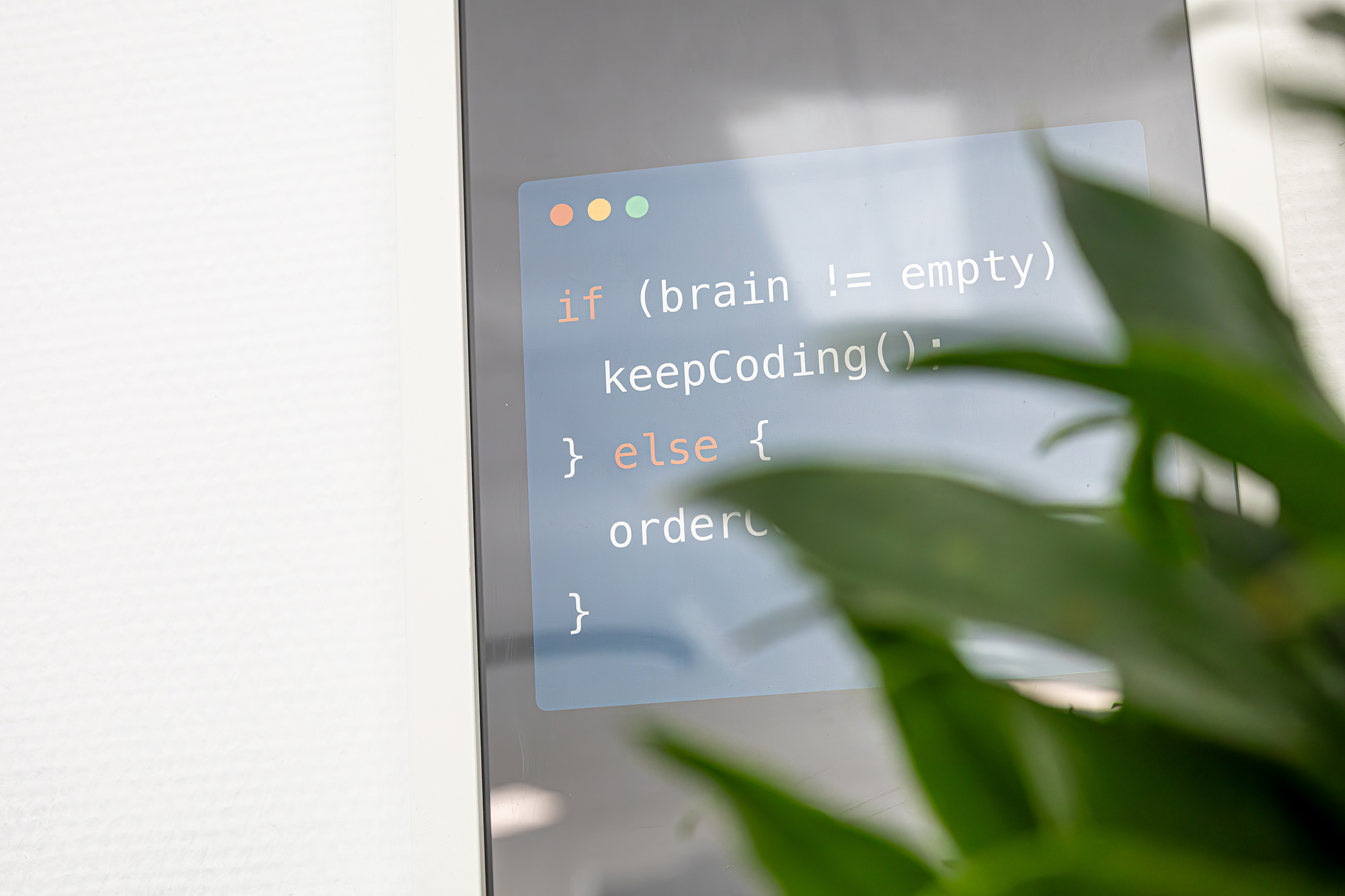 Wandbild hinter einer Zimmerpflanze mit Code
