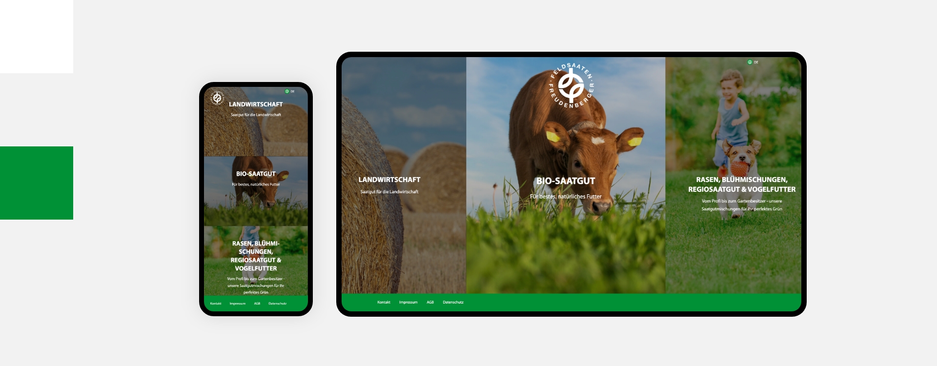 Screenshot einer Desktop- und Smartphoneansicht der Webseite von Feldsaaten Freudenberger umgeben von den Farben des Corporate Design