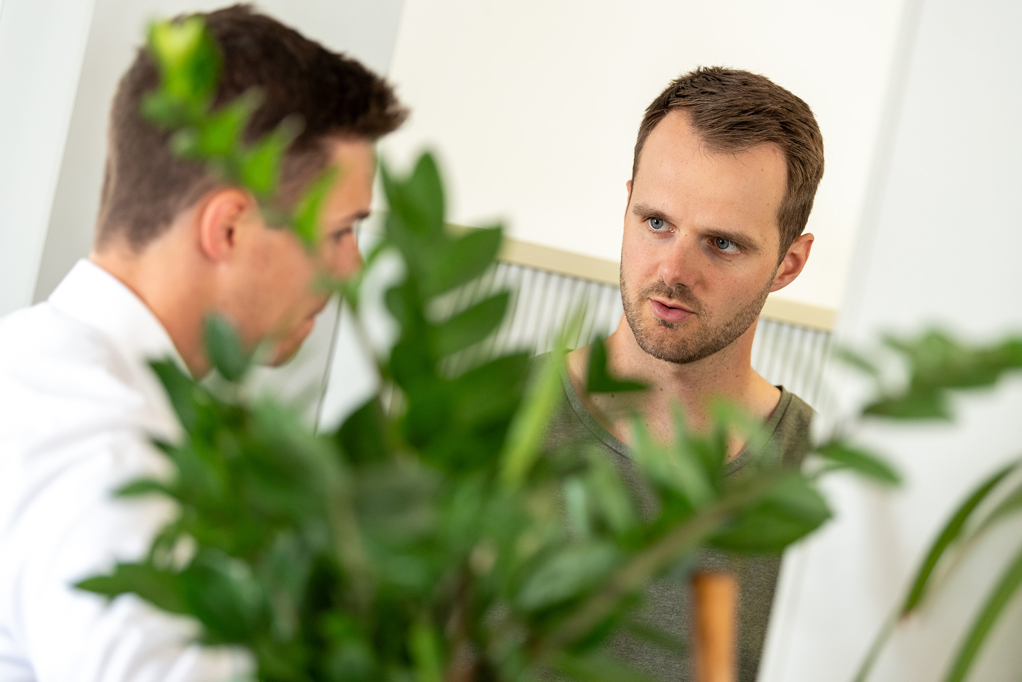 2 Männer unterhalten sich hinter einer Pflanze